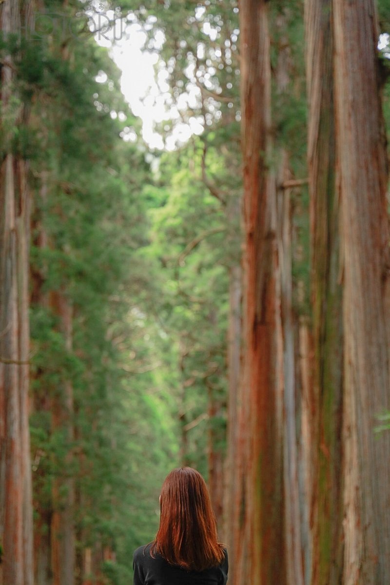 とものポートフォリオ6