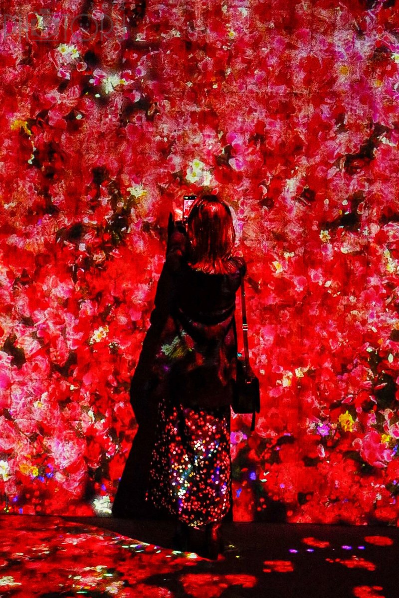 とものポートフォリオ9