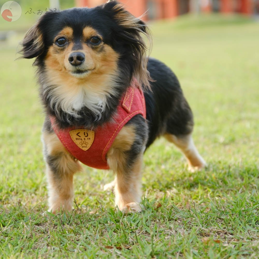 yokoyaのポートフォリオ2