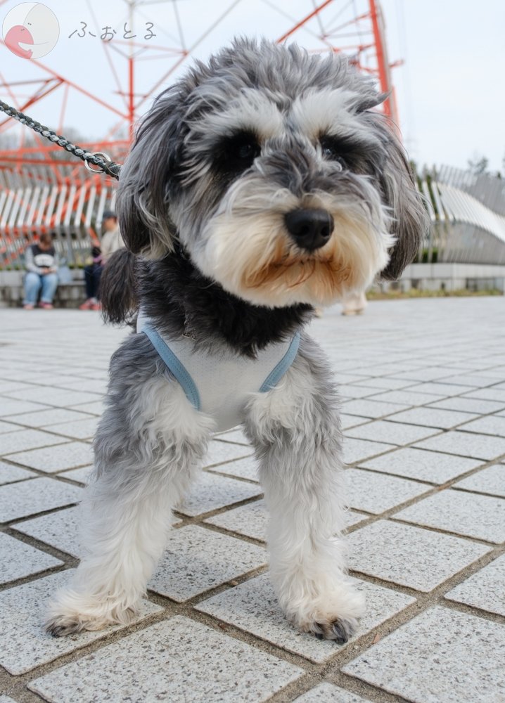 yokoyaのポートフォリオ3