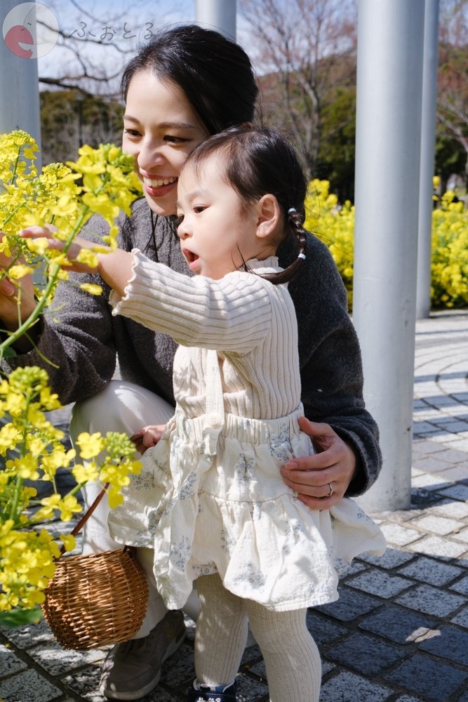 yokoyaのポートフォリオ7