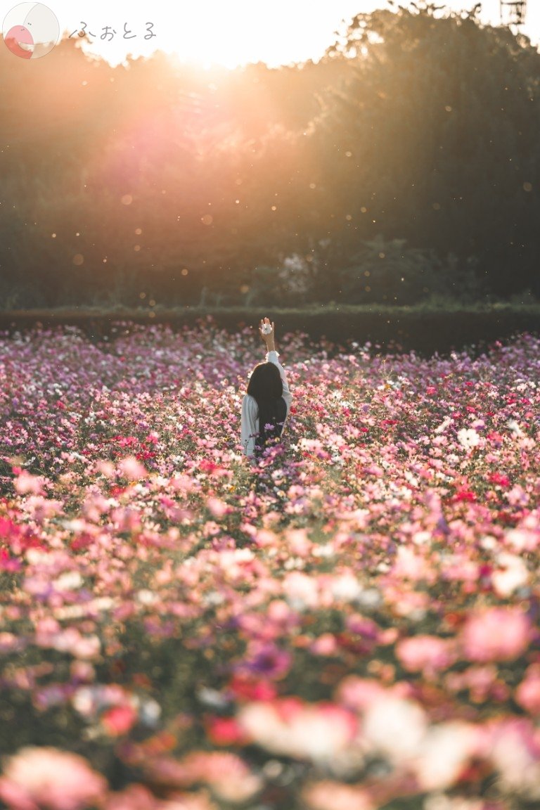 Rieのポートフォリオ3