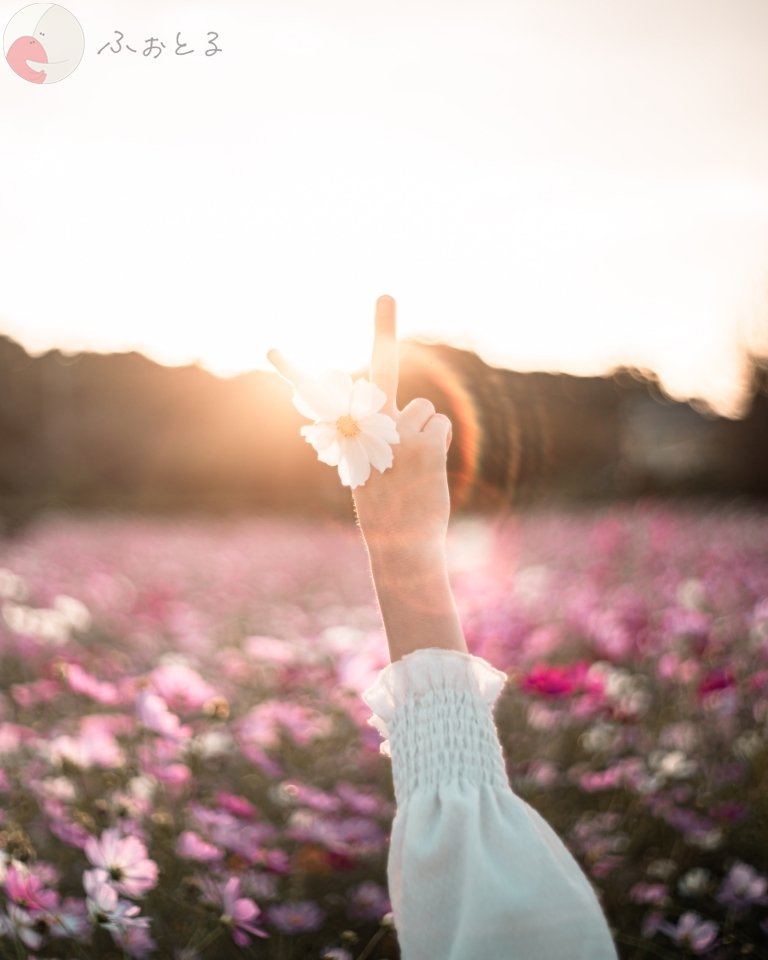 Rieのポートフォリオ6