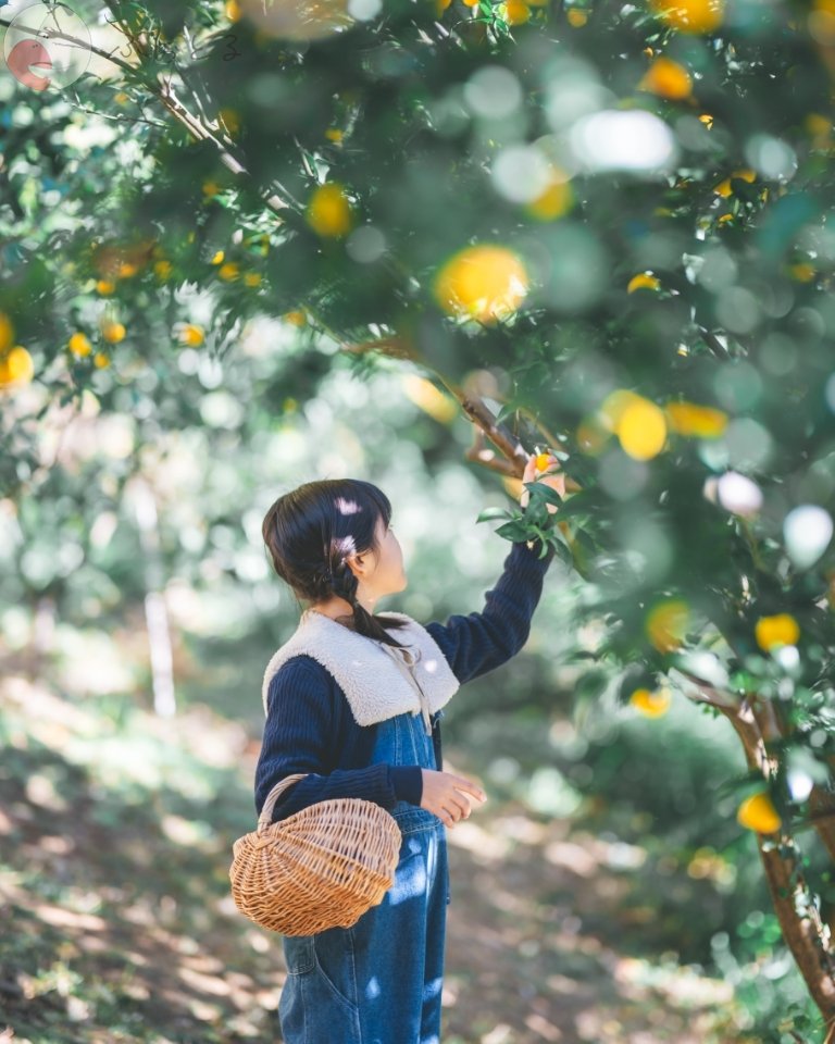 Rieのポートフォリオ5