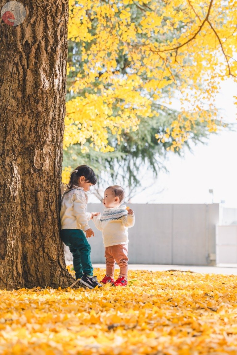 Rieのポートフォリオ0