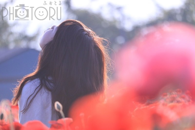 YOKO☘️活動休止中のポートフォリオ0