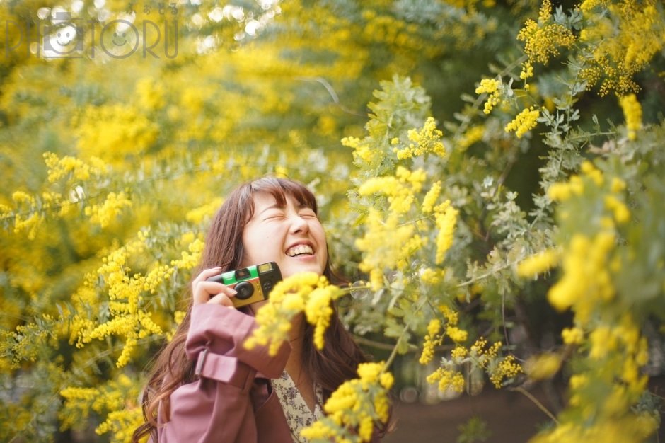 YOKO☘️活動休止中のポートフォリオ2