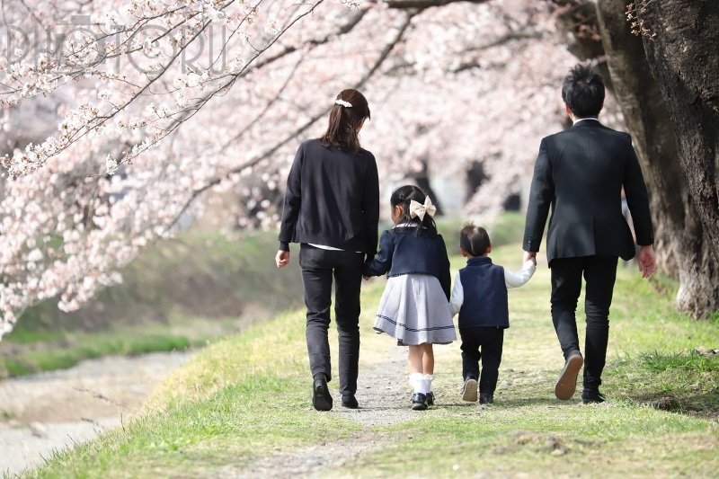 YOKO☘️活動休止中のポートフォリオ8