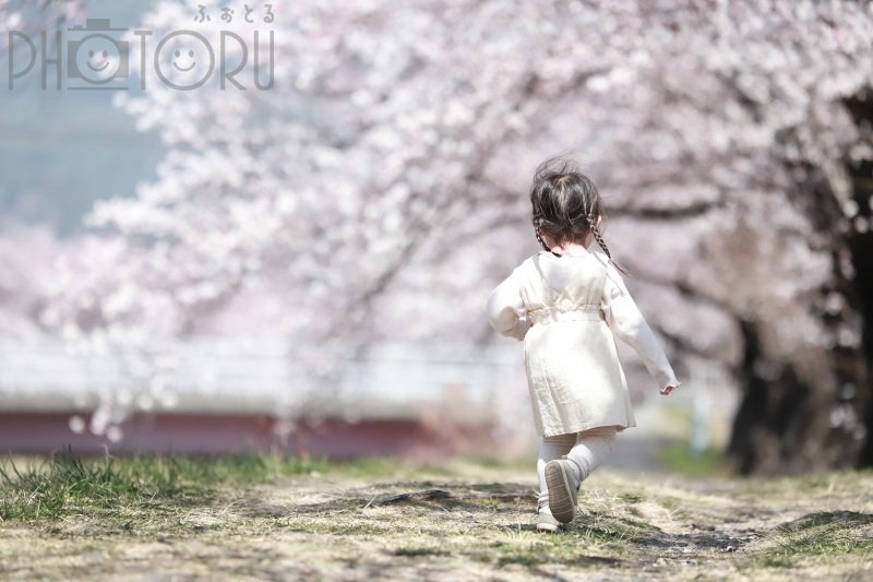 YOKO☘️活動休止中のポートフォリオ1