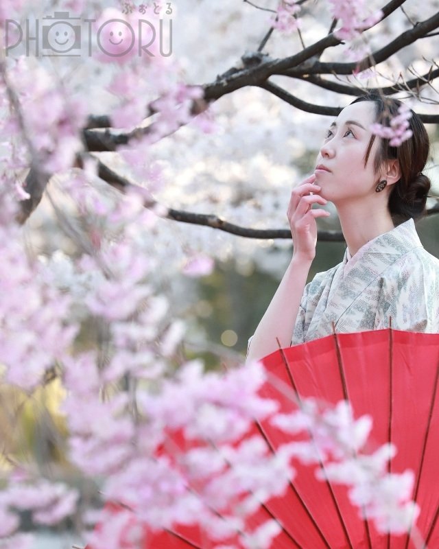 YOKO☘️活動休止中のポートフォリオ2