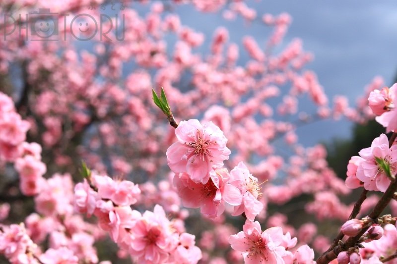 YOKO☘️活動休止中のポートフォリオ6