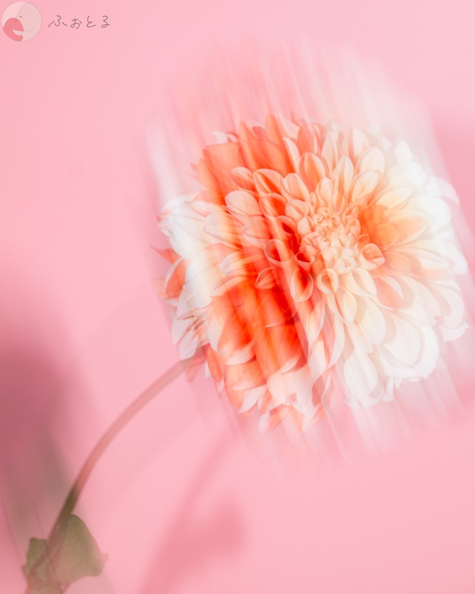 HIROのポートフォリオ8