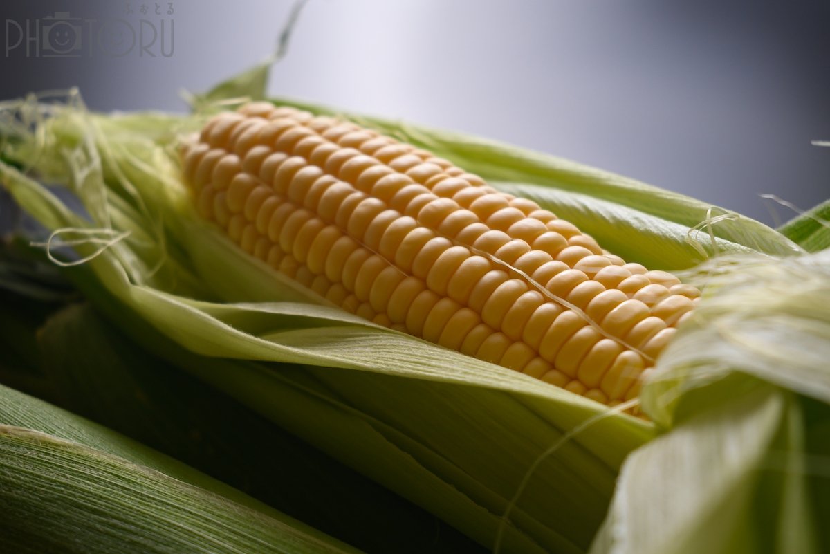 中宮アキオのポートフォリオ9