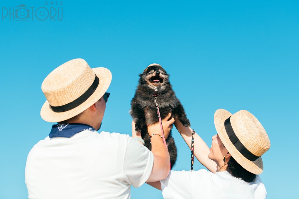 zumiのポートフォリオ2