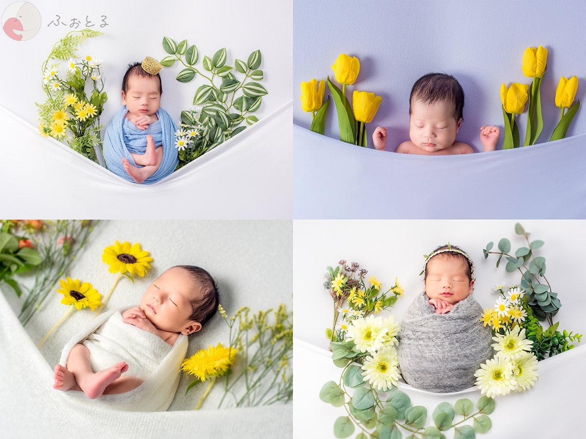 ｱｸｼｽﾞﾌｫﾄｻｰﾋﾞｽ 藤井のポートフォリオ0