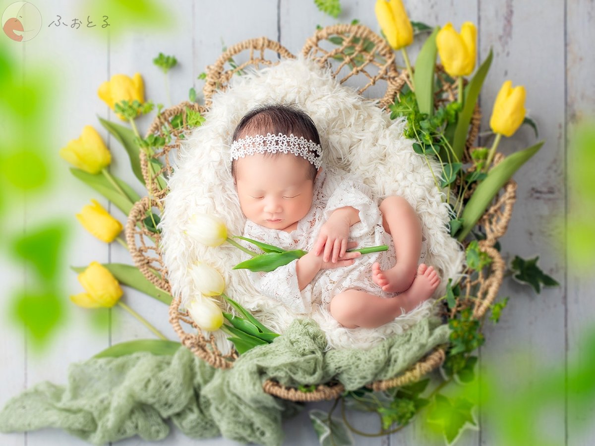 ｱｸｼｽﾞﾌｫﾄｻｰﾋﾞｽ 藤井のポートフォリオ0