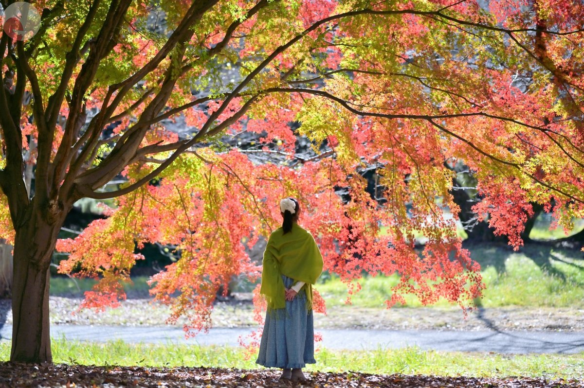 きしかわ じんのポートフォリオ3