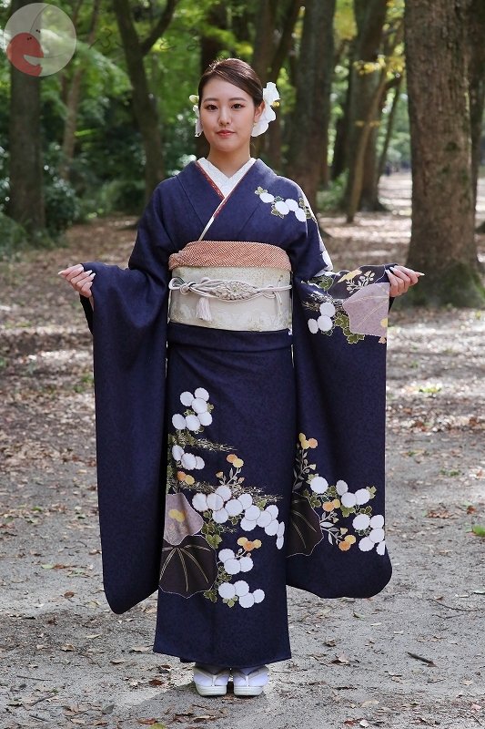 Tadaのポートフォリオ2