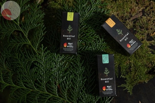 うみのポートフォリオ3