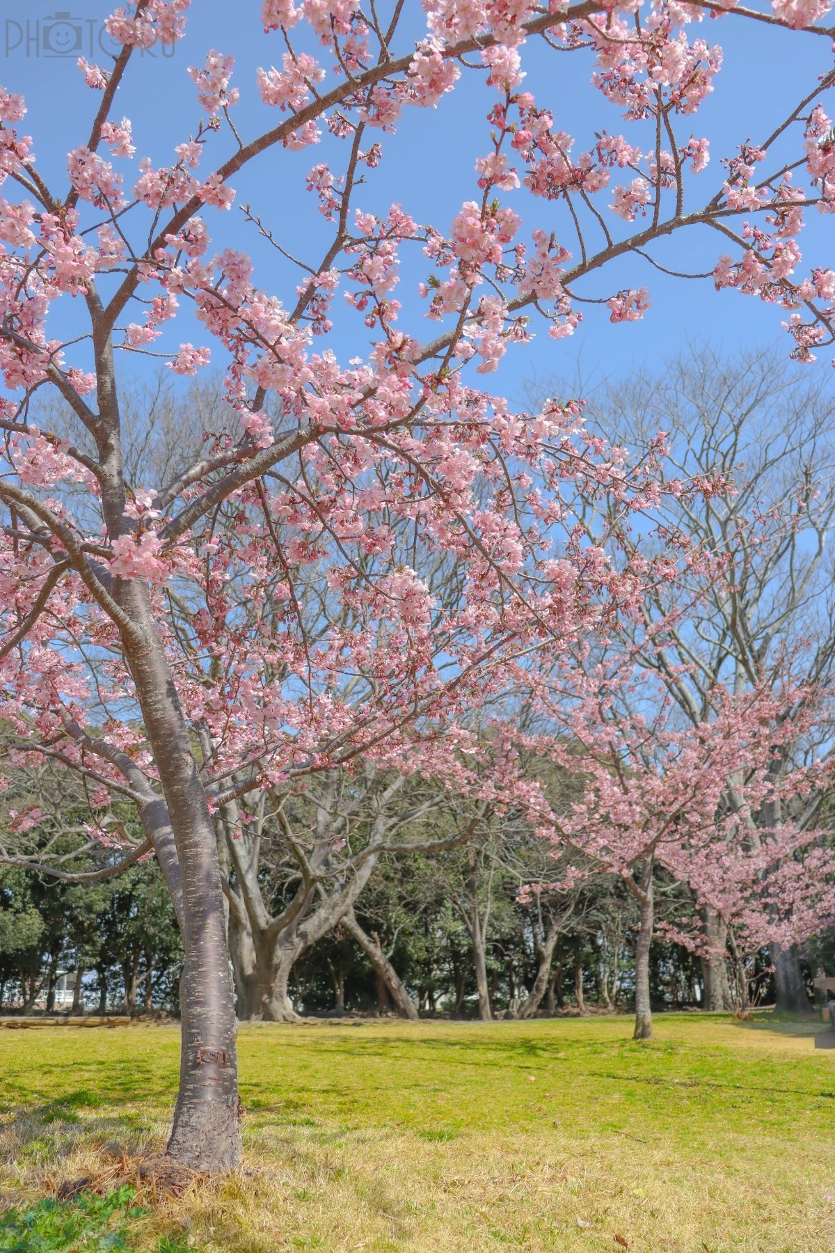 スケコー（山浦康介）のポートフォリオ4