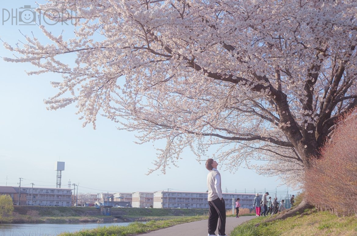 むうまのポートフォリオ2