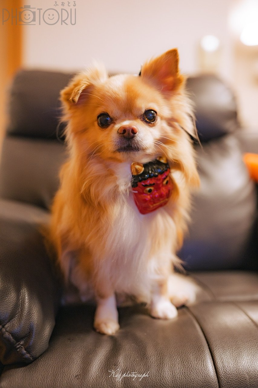 KAZUのポートフォリオ6