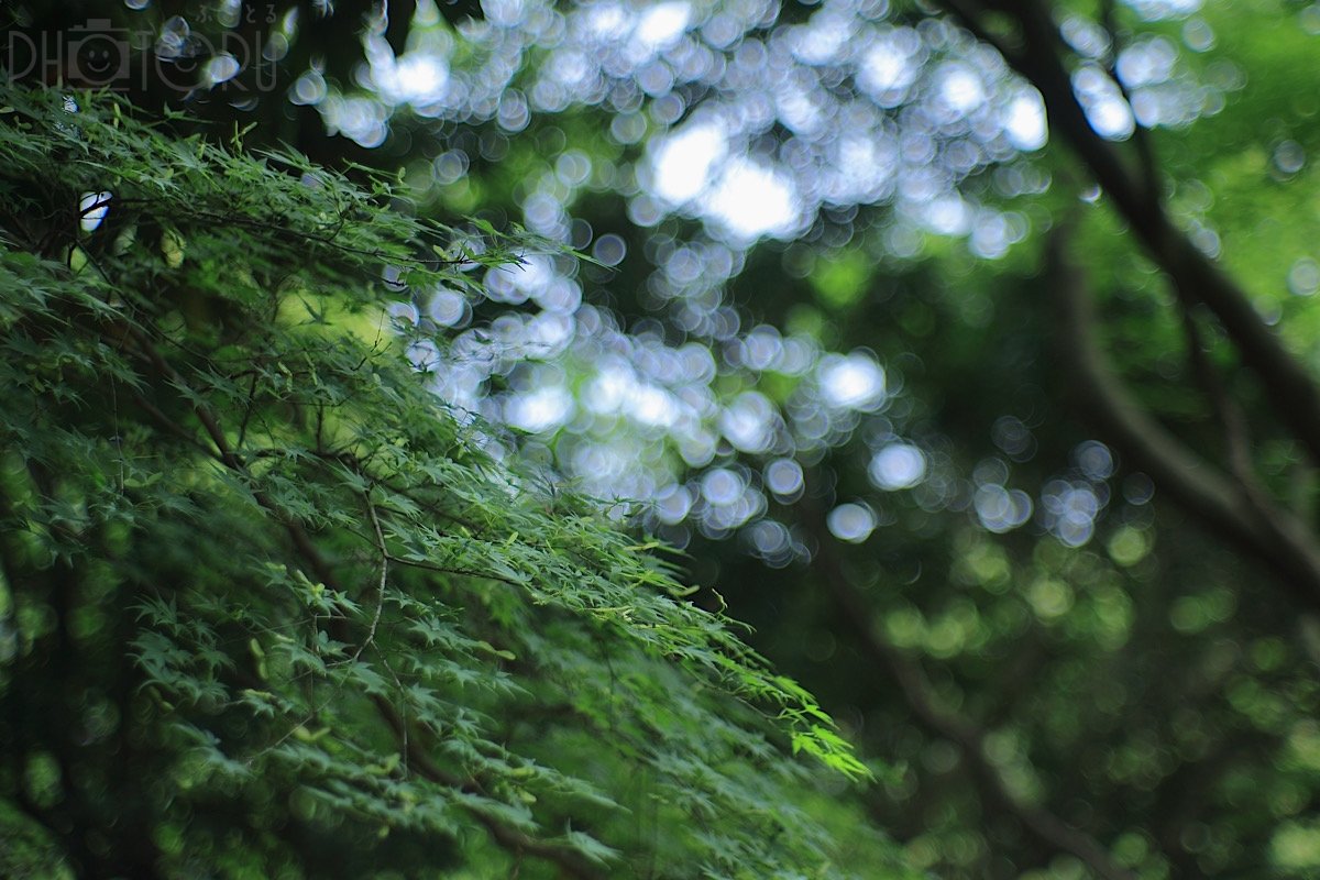 Satoのポートフォリオ6