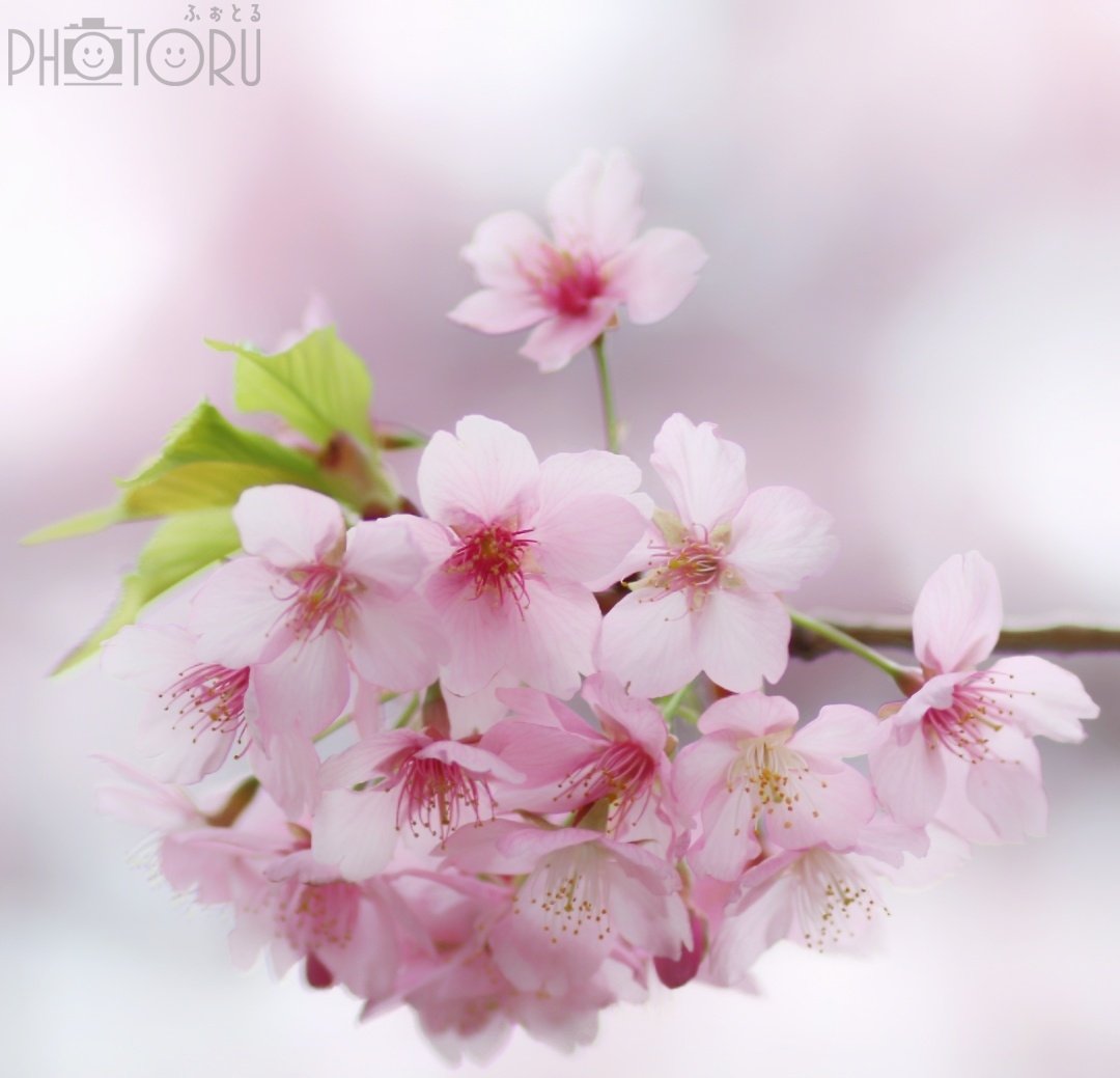 Satoのポートフォリオ8