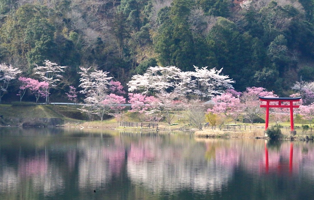 Satoのポートフォリオ9