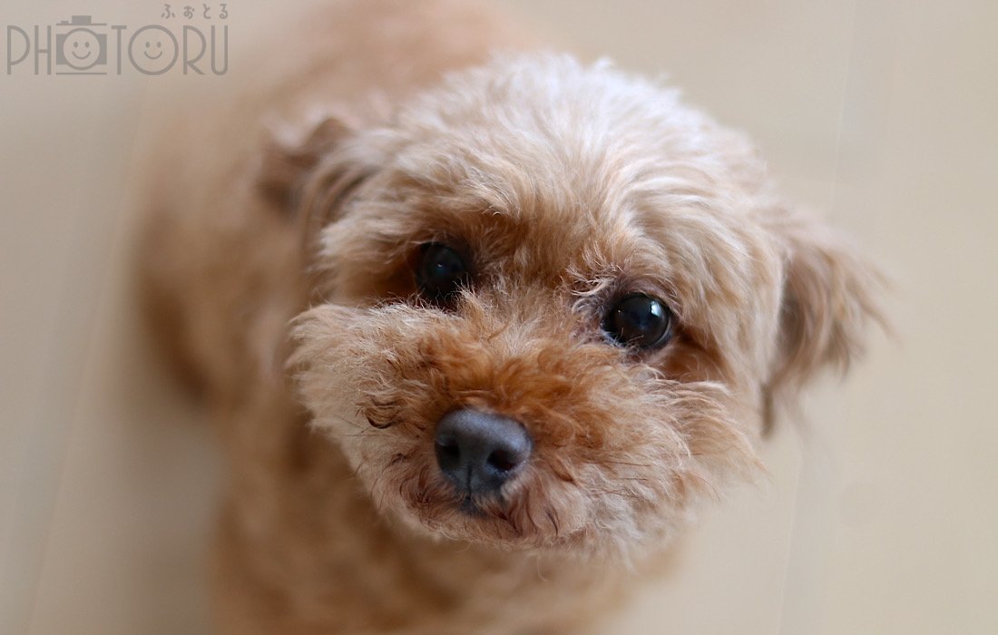 Satoのポートフォリオ1