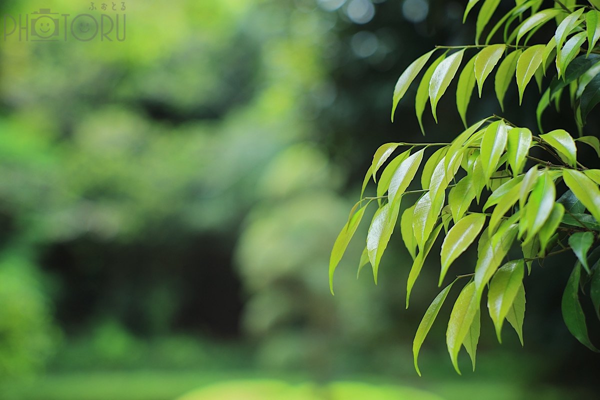 Satoのポートフォリオ6