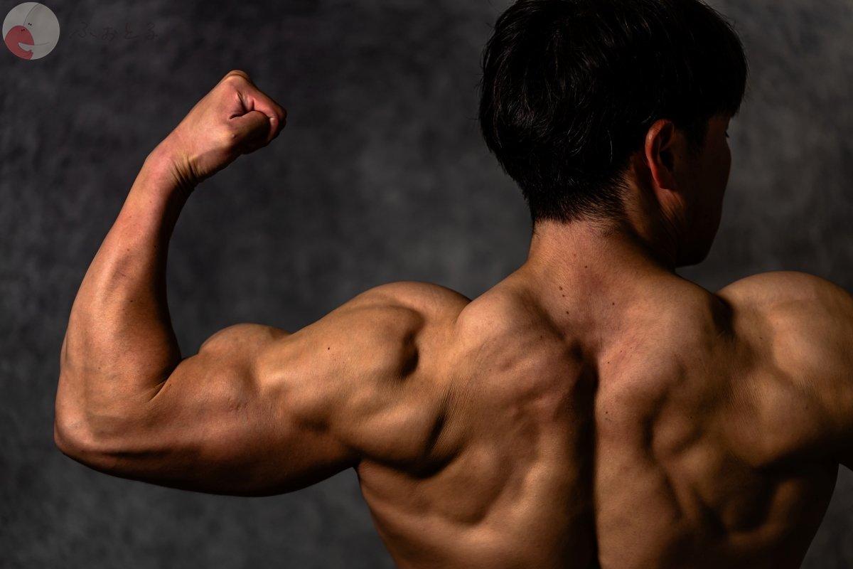 Satoのポートフォリオ3