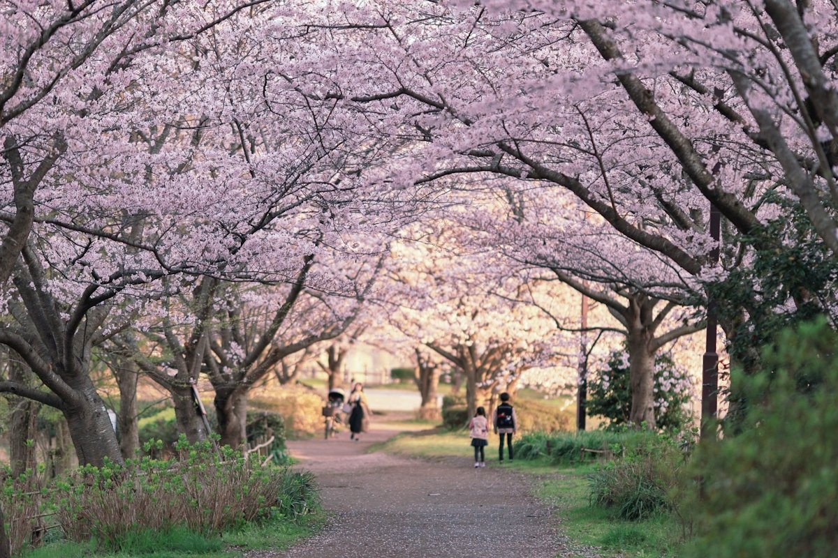 Satoのポートフォリオ4