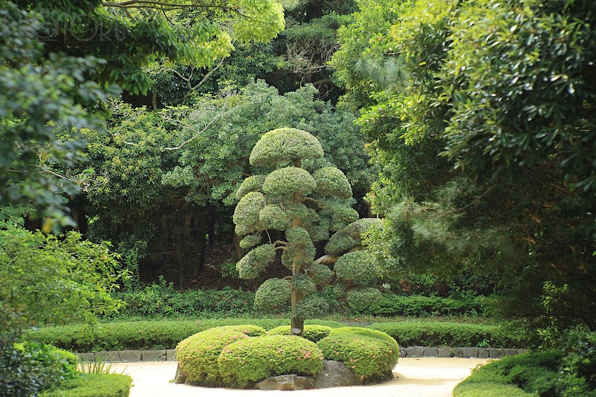 Satoのポートフォリオ9