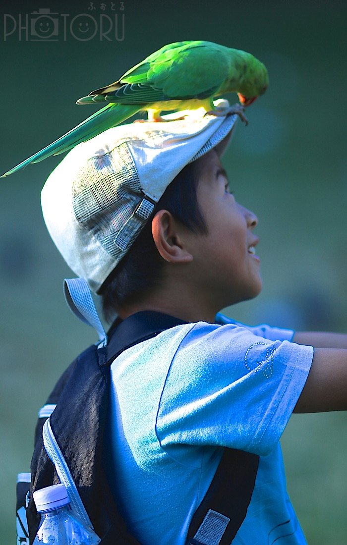 Satoのポートフォリオ5