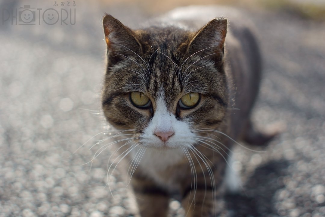 やまさきのポートフォリオ5