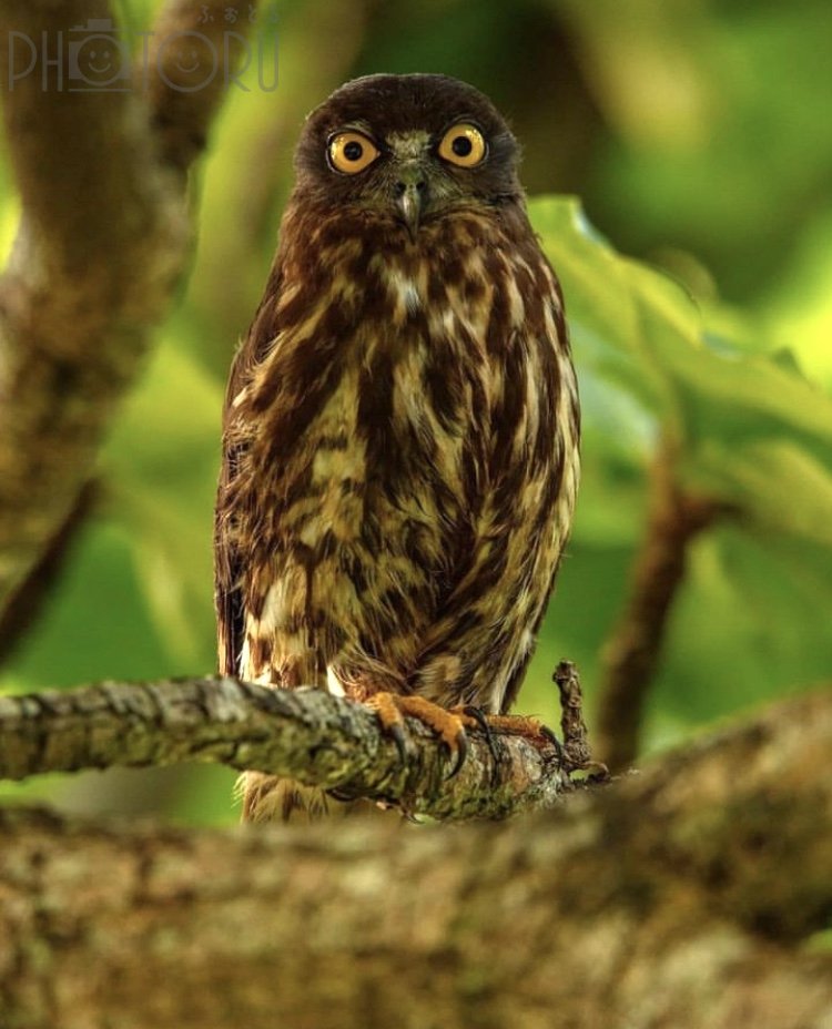 マークのポートフォリオ5