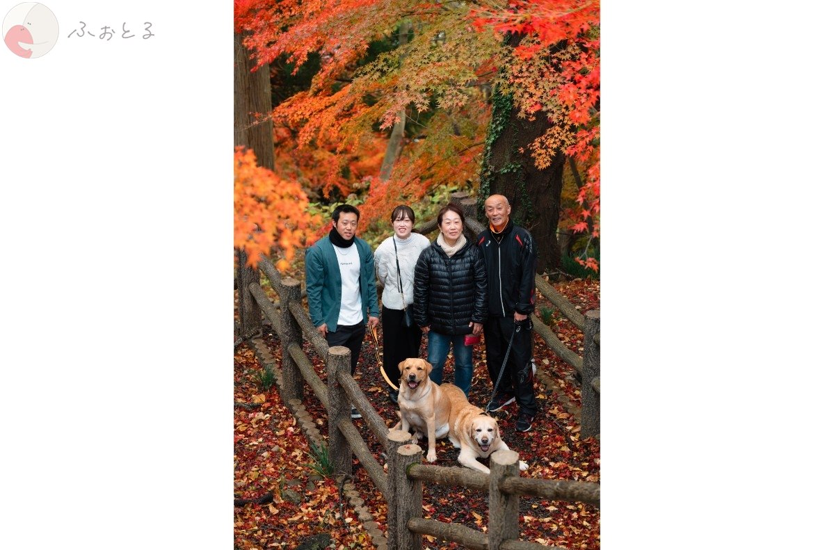 やすまさのポートフォリオ6