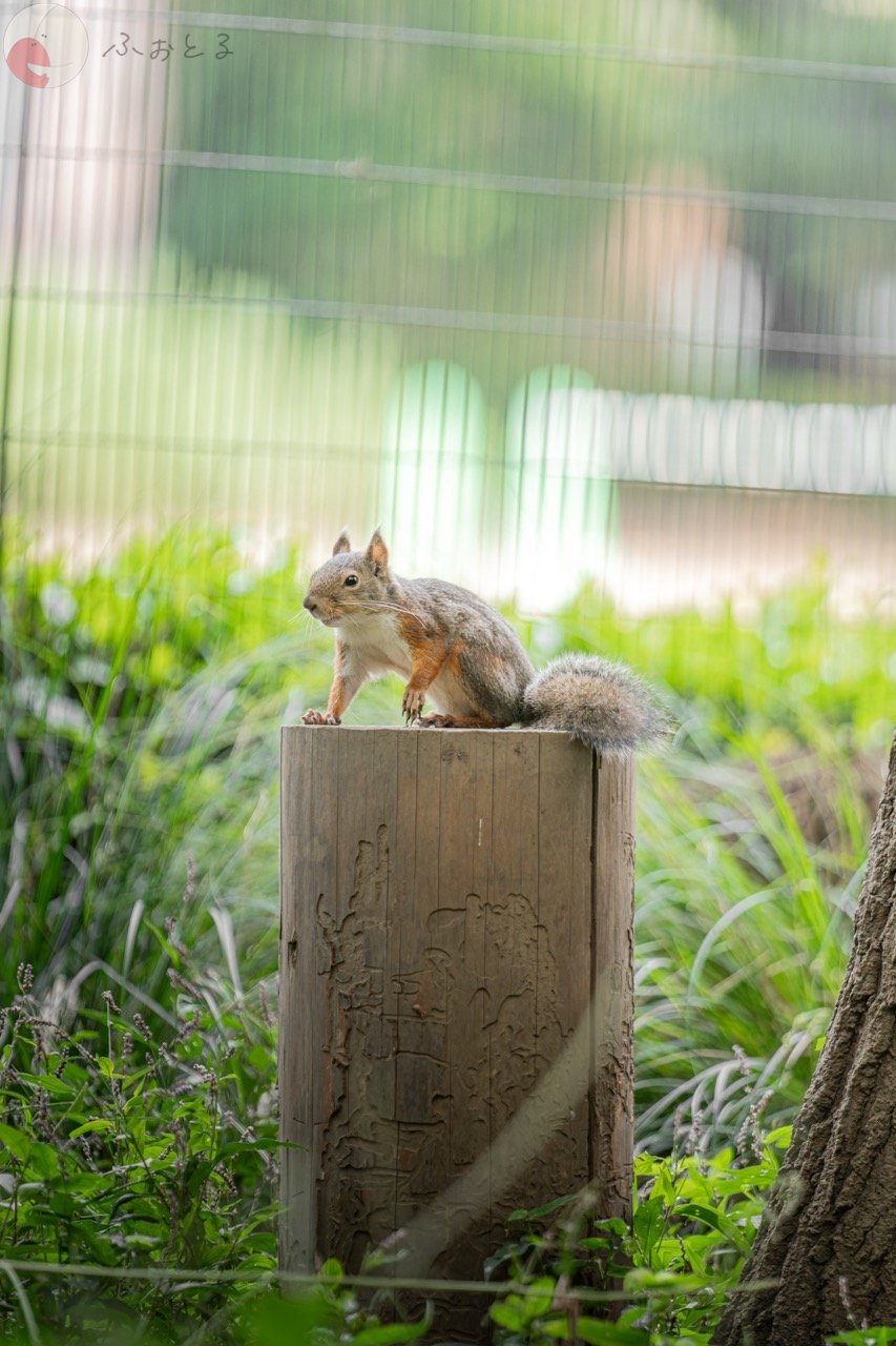 NAGIのポートフォリオ6