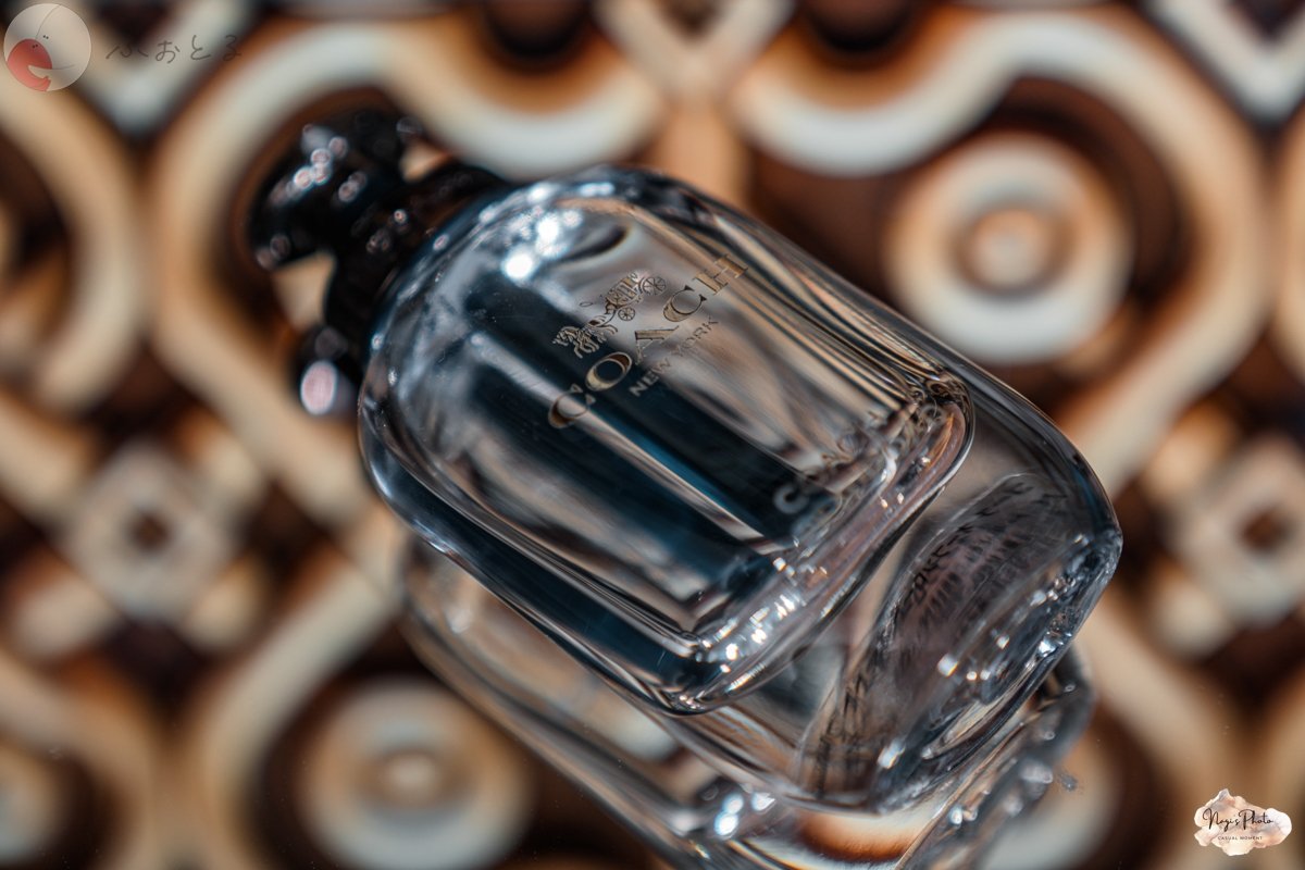 NAGIのポートフォリオ1