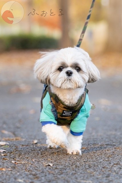 NAGIのポートフォリオ4