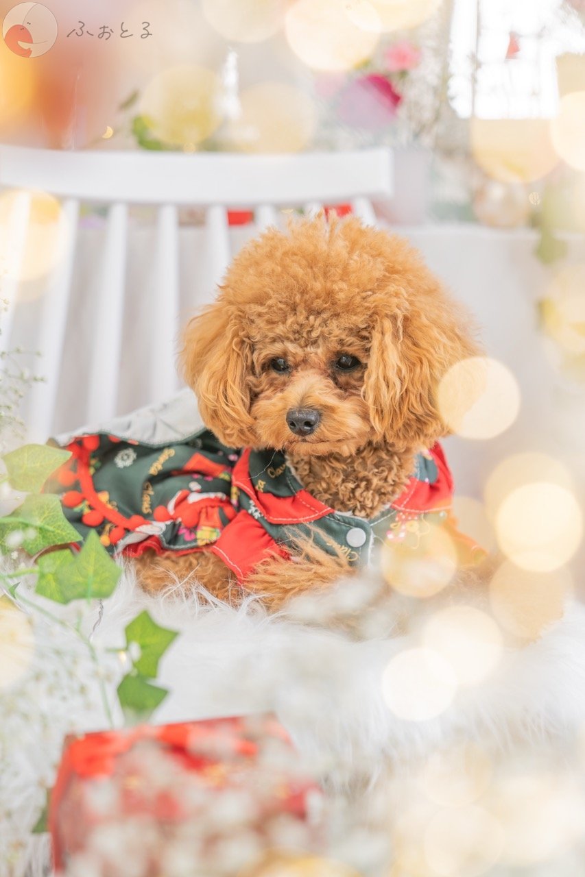 NAGIのポートフォリオ5