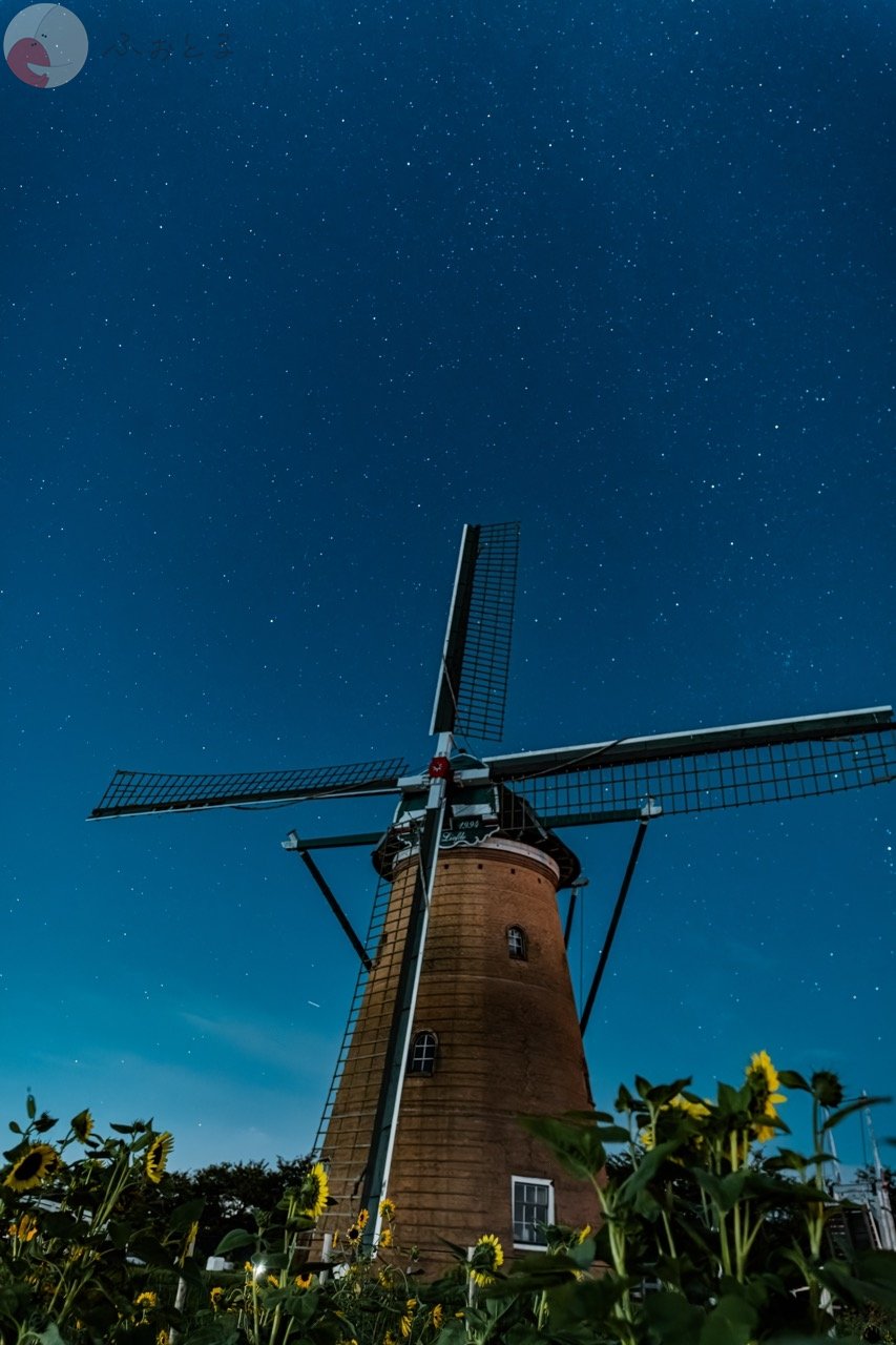 NAGIのポートフォリオ0