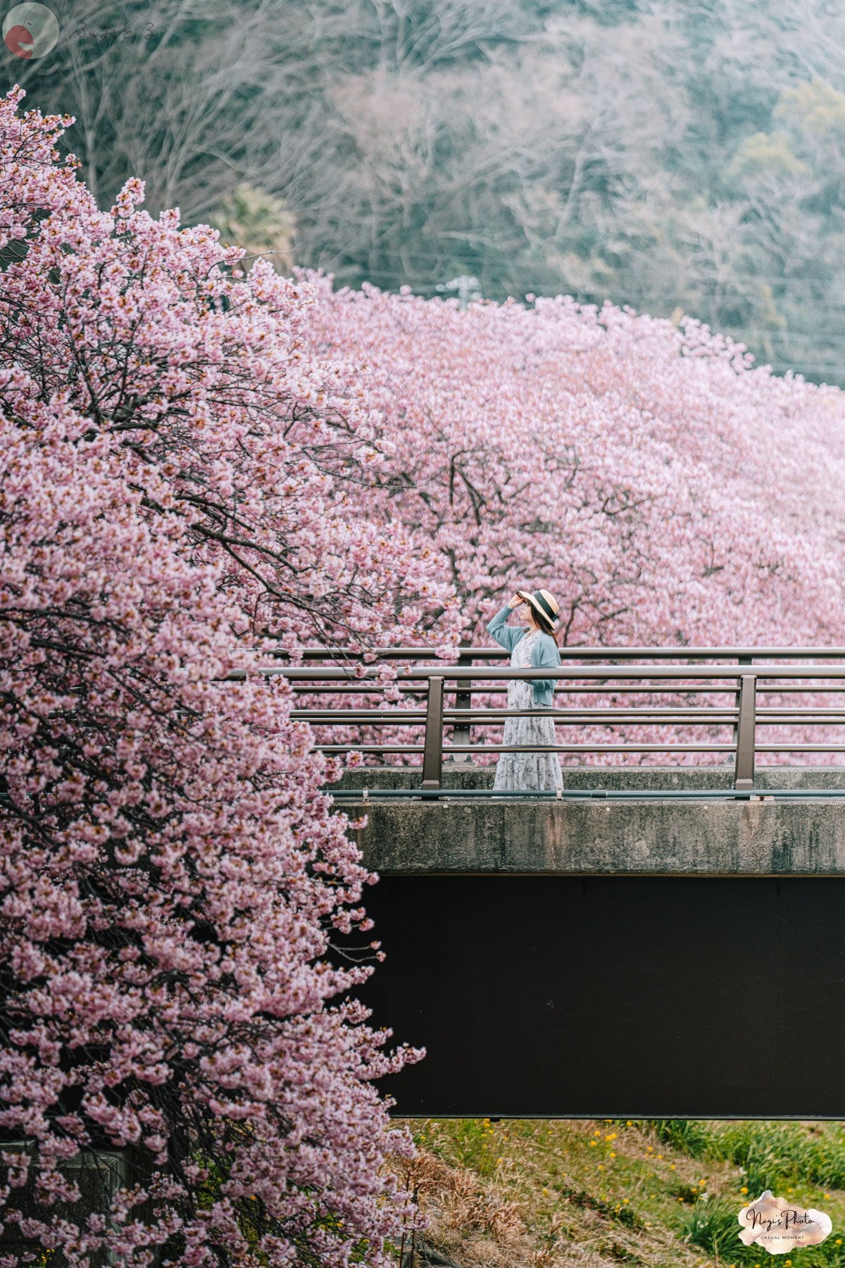 NAGIのポートフォリオ4