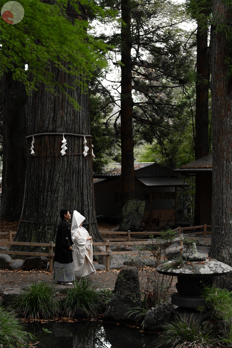 AKATSUのポートフォリオ6