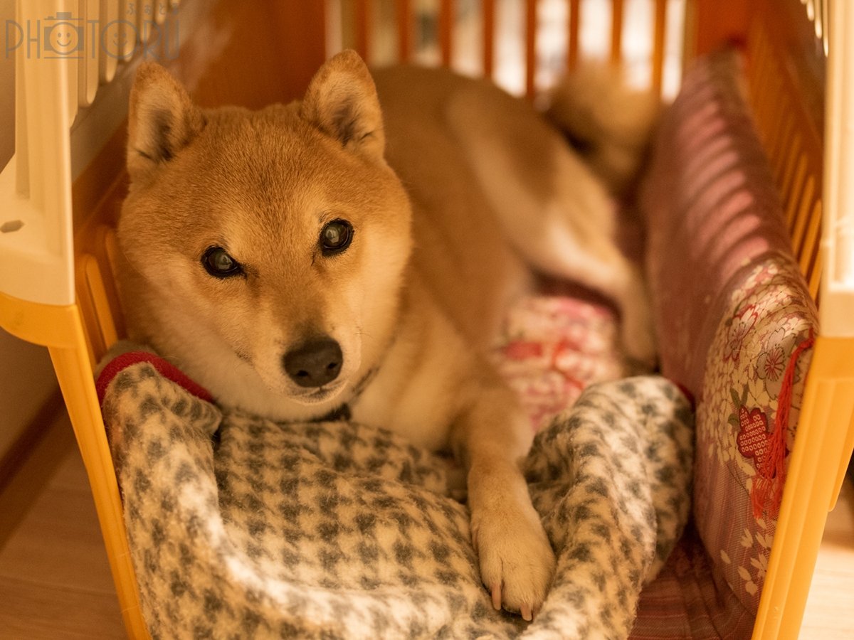 さとうてつやのポートフォリオ0