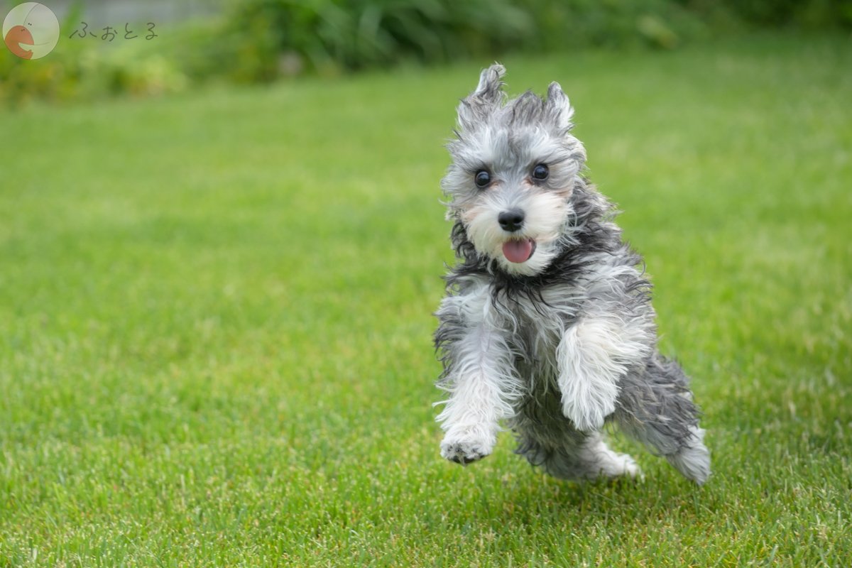 さとうてつやのポートフォリオ3