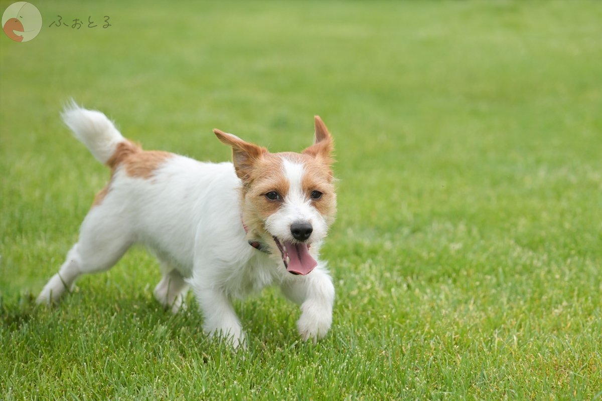 さとうてつやのポートフォリオ4