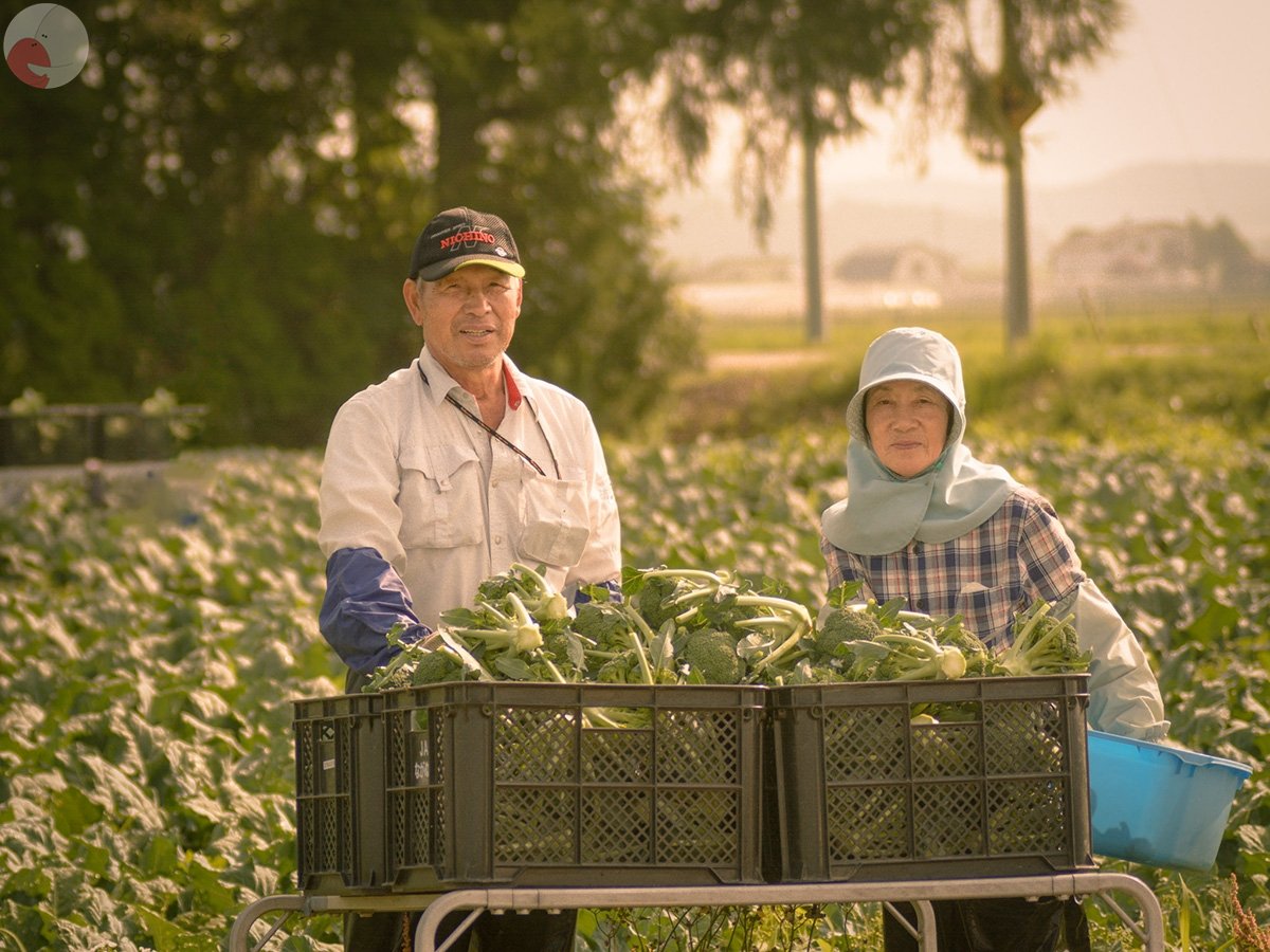 さとうてつやのポートフォリオ7