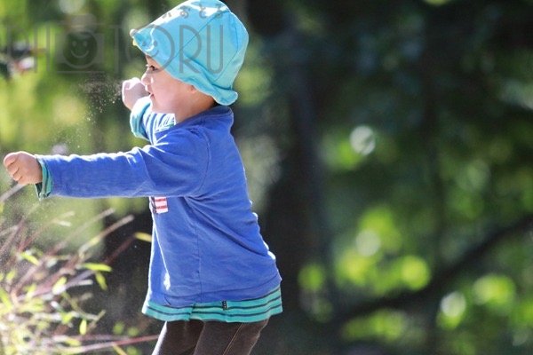 yoshiのポートフォリオ9